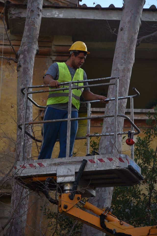 L''abbattimento di 10 platani in Corso Duca di Genova